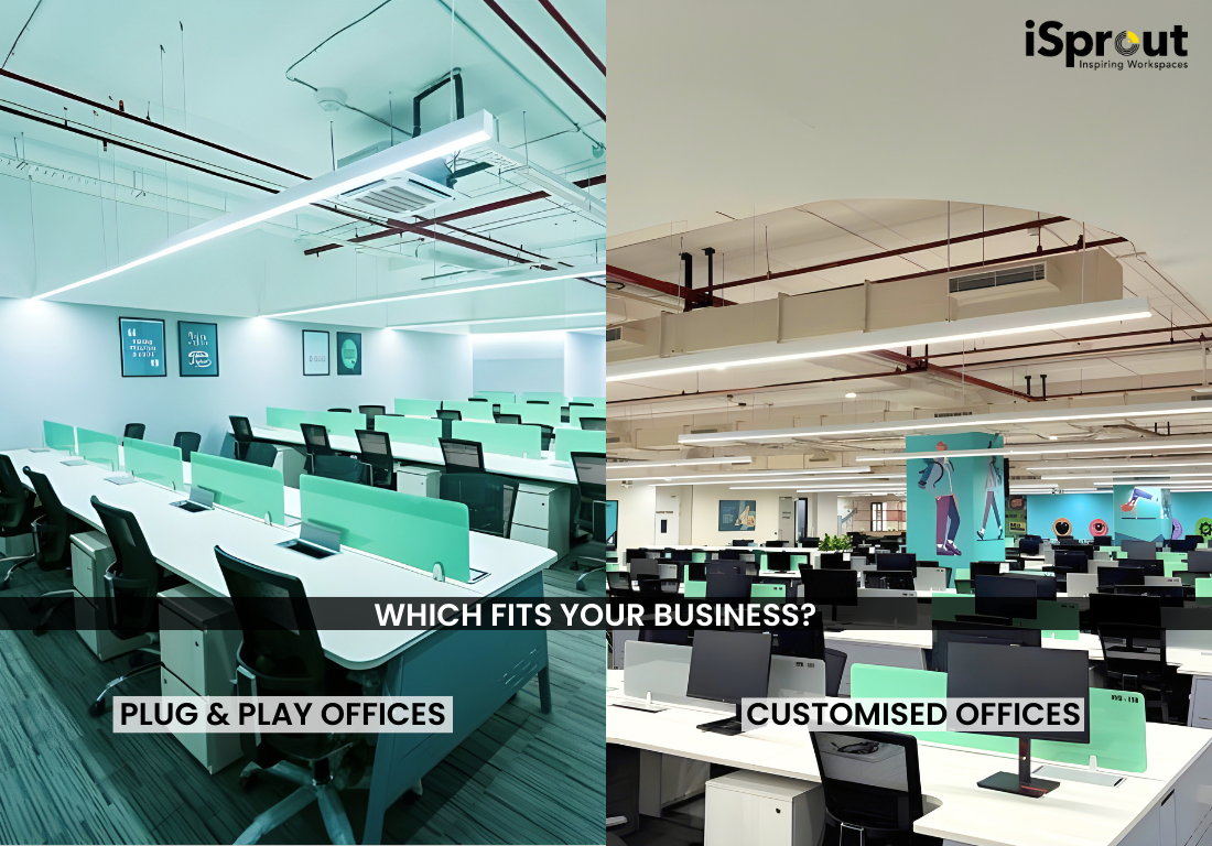 Customized vs. Plug-and-Play Offices