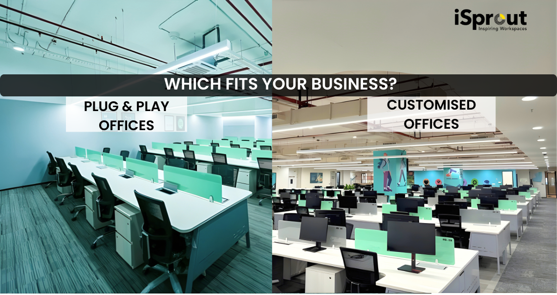 Customized vs. Plug-and-Play Office