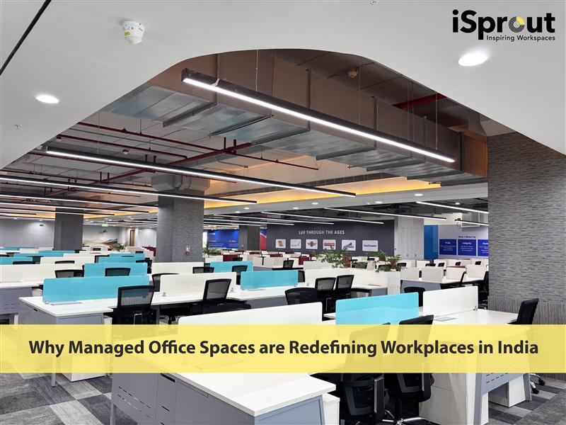 Managed Office Spaces (1)