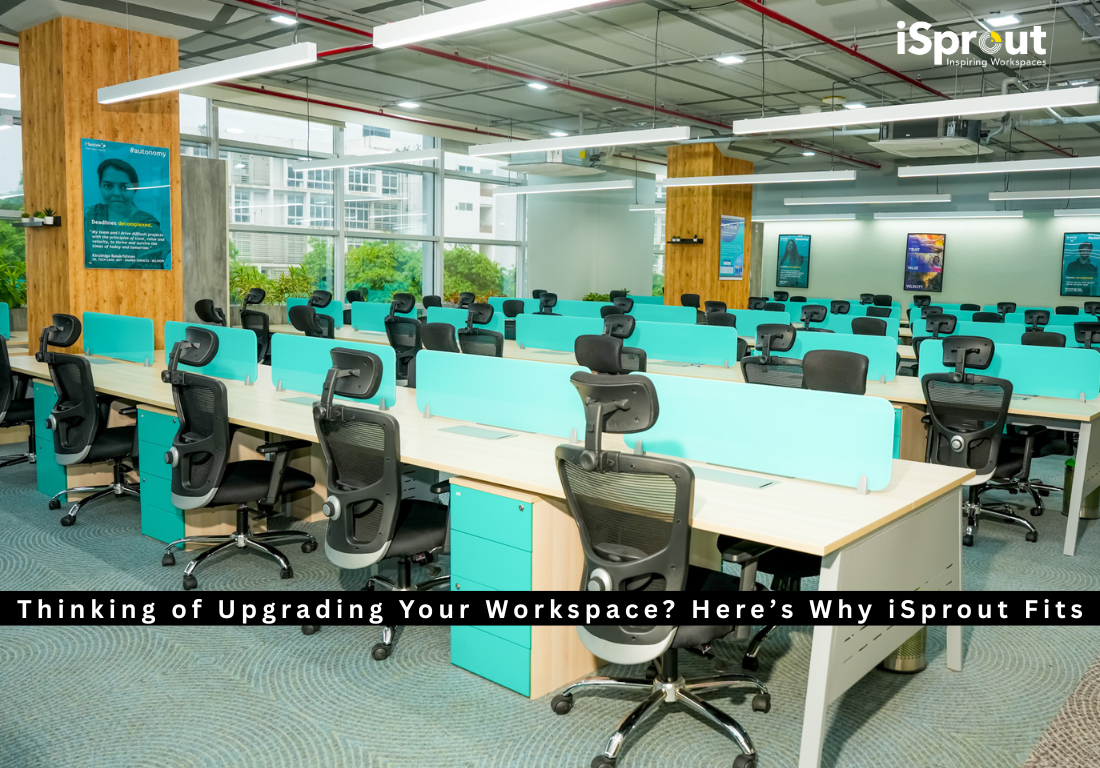 Thinking of Upgrading Your Workspace Here’s Why iSprout Fits