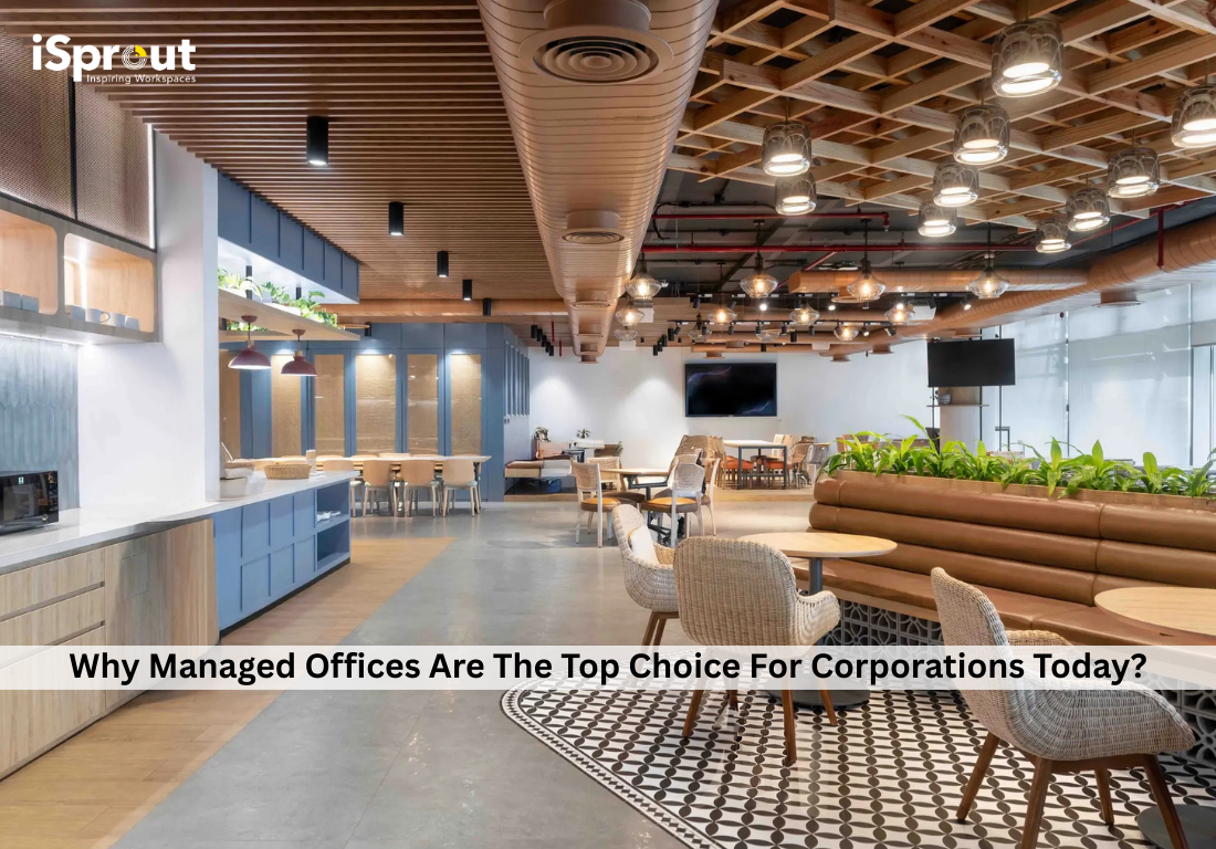 Top Choice for Corporates Today